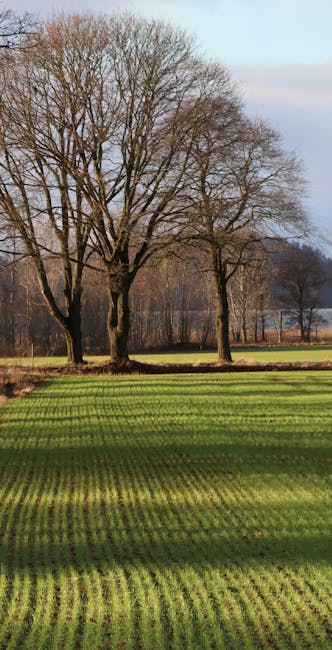 campo y medio ambiente