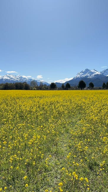 campo y medio ambiente