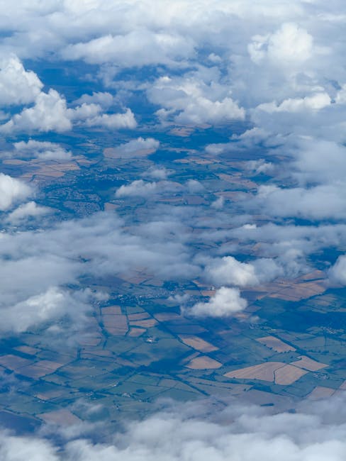 campo y medio ambiente
