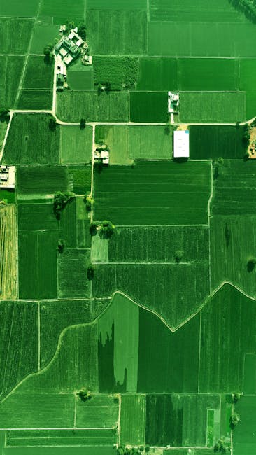campo y medio ambiente