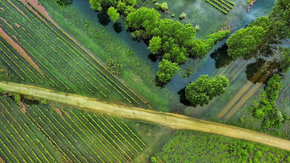 campo y medio ambiente