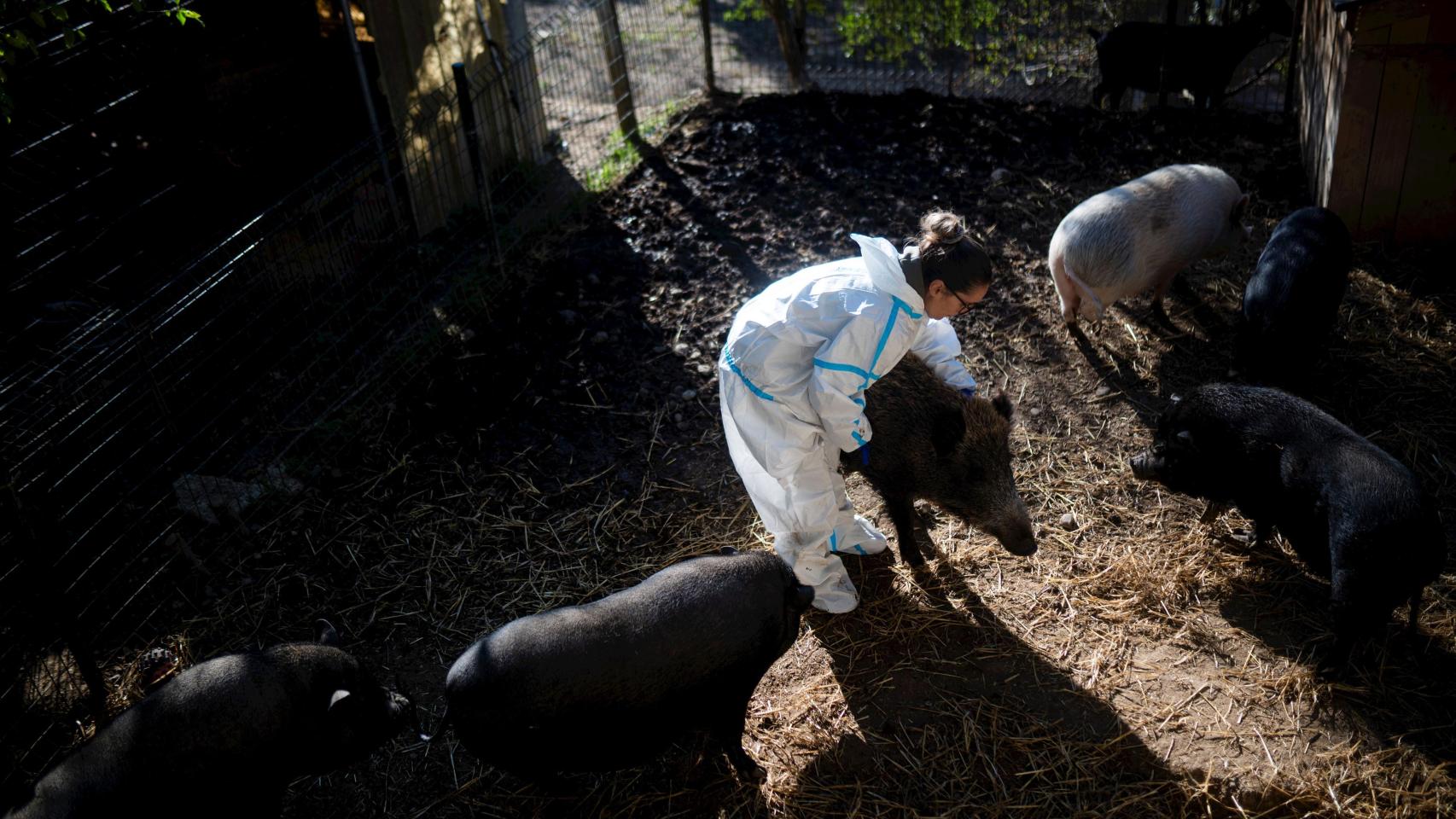 campo y medio ambiente