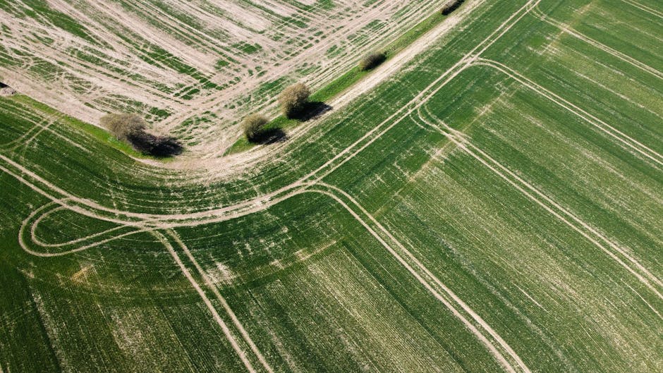 campo y medio ambiente