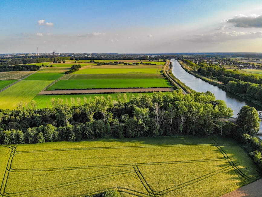 campo y medio ambiente