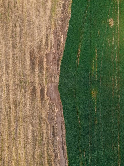campo y medio ambiente