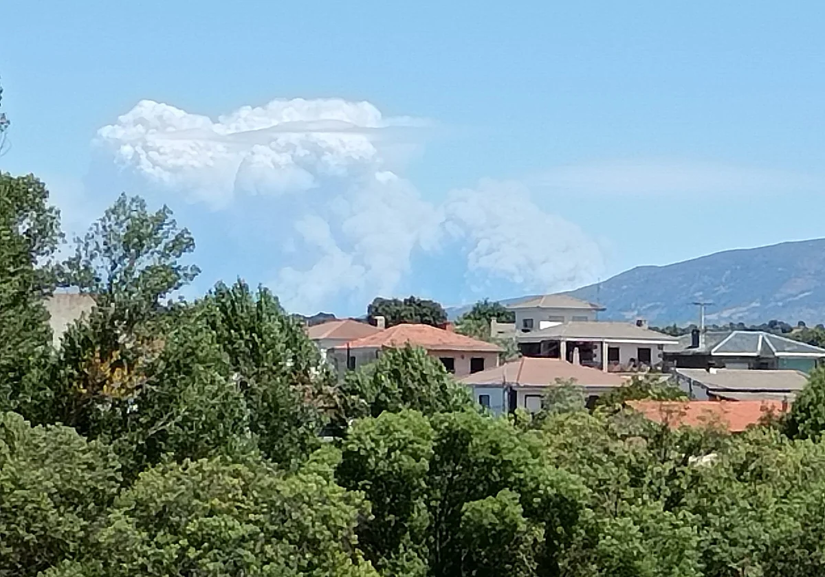Ávila incendio