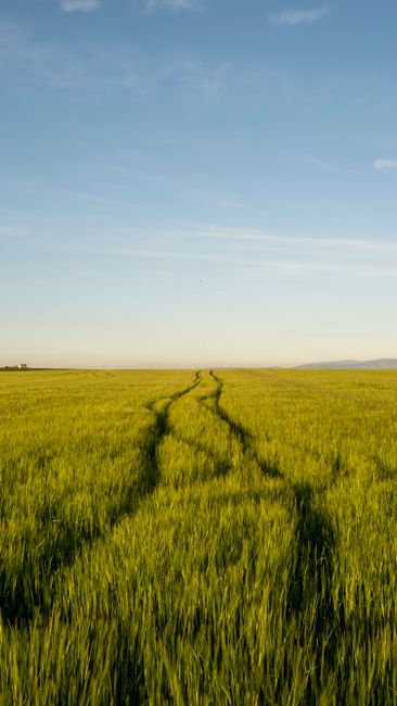 campo y medio ambiente