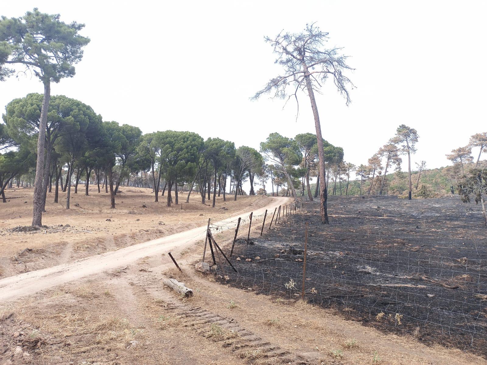 campo y medio ambiente