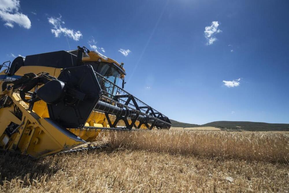 campo y medio ambiente