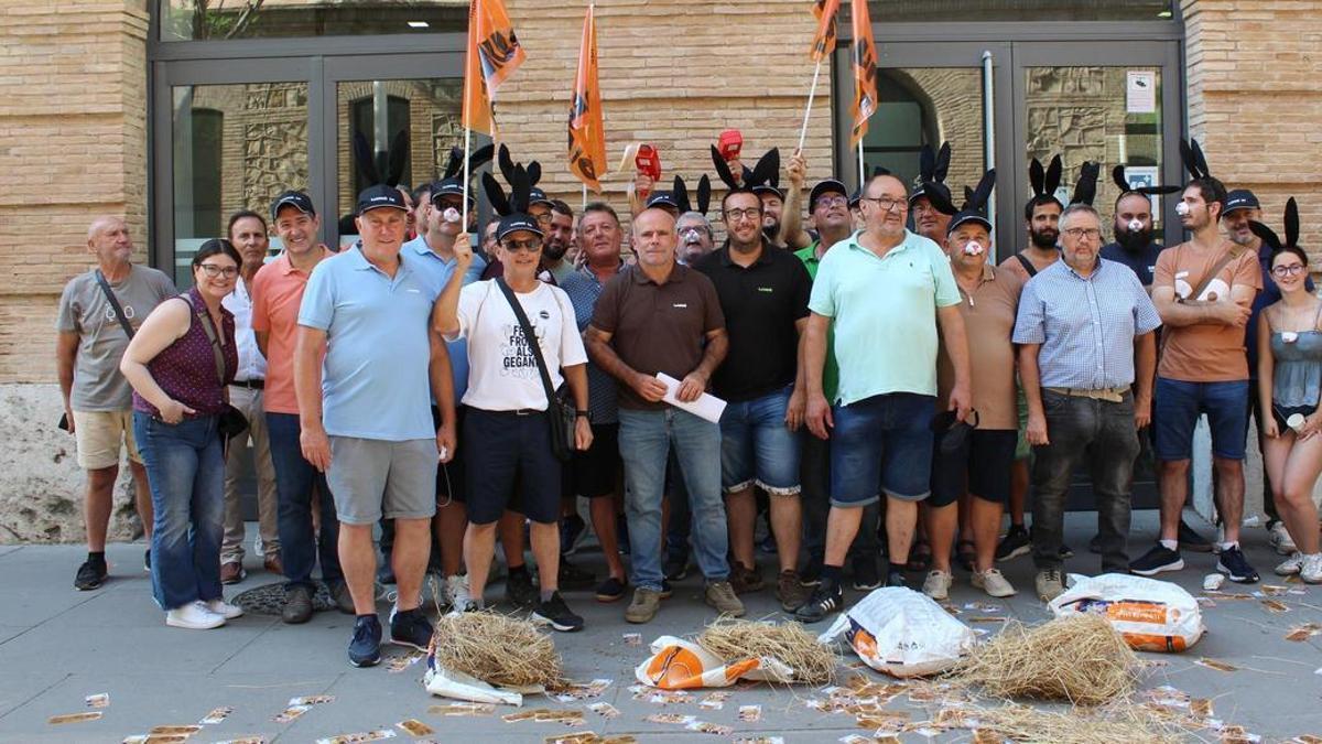 Comunitat Valenciana, Jabalíes, Conejos