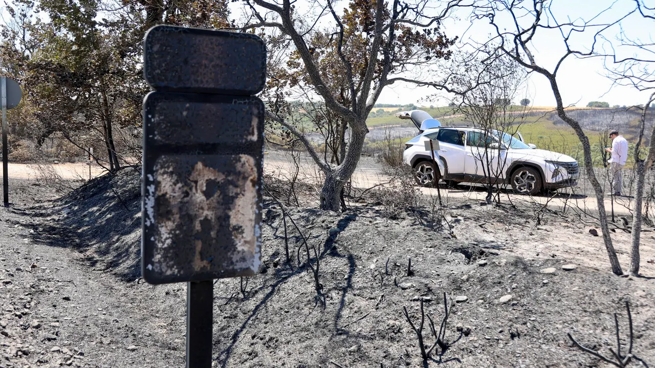incendios Zamora, Fermoselle