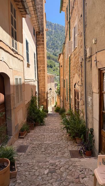 Mallorca Palma Tramuntana