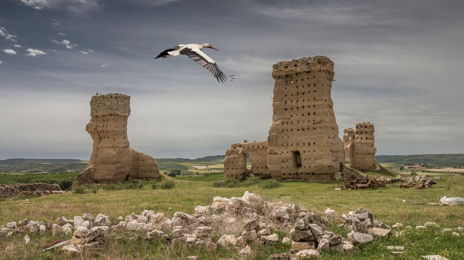 Villarroya del Campo, cultura celta, El Castillo