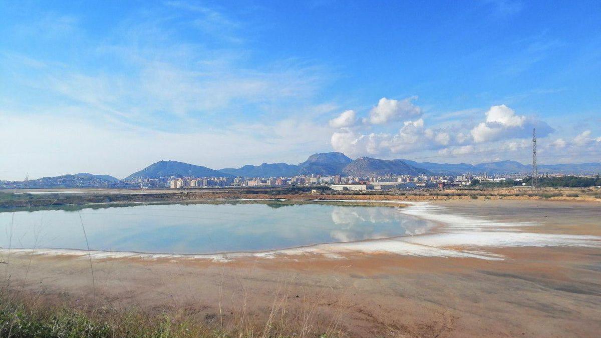 AMARME activa mecanismos legales ante la contaminación por metales pesados en los suelos agrícolas del Campo de Cartagena