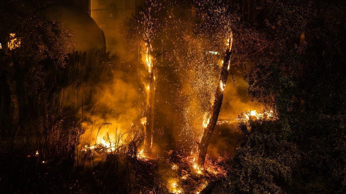 Incendios en España: La Amenaza Desatada del 14 de Agosto y el Mapa de la Emergencia Nacional