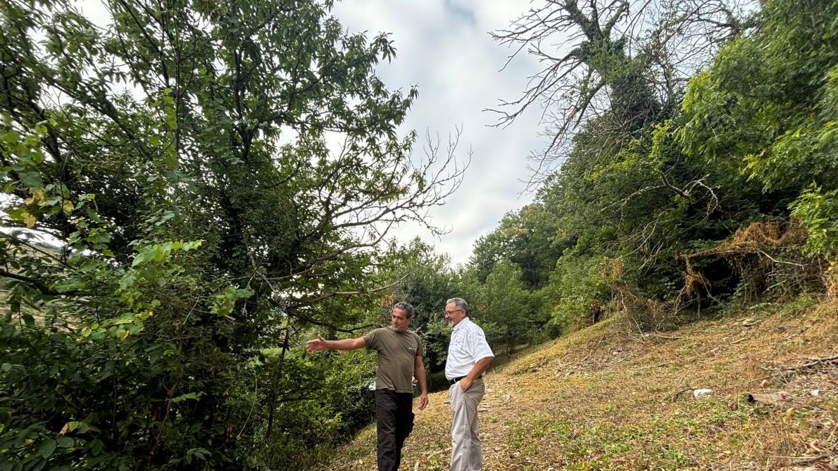 Ponferrada Refuerza su Escudo Verde: El Plan Montel Despliega un Mantenimiento Crucial Contra el Fuego y por la Calidad de Vida