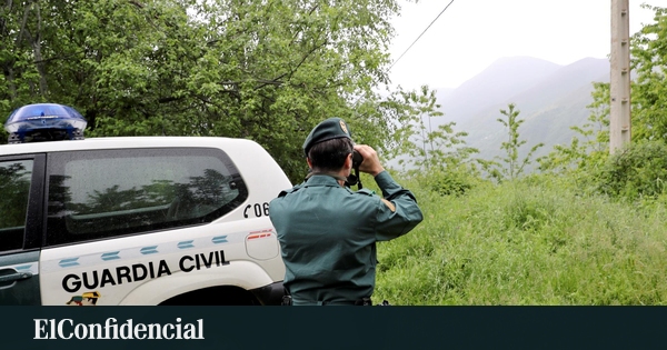 Un león suelto mantiene en vilo a la Sierra de San Vicente