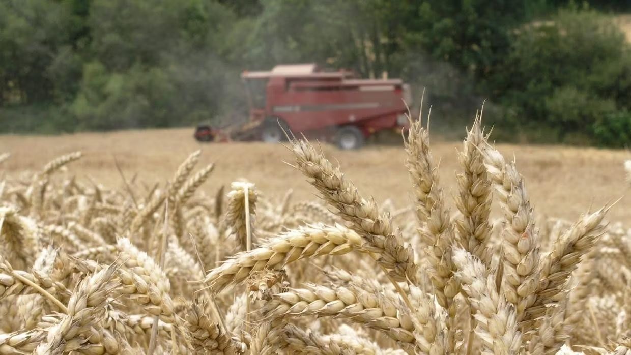 Asaja planta a la Junta en el Consejo de Medio Ambiente por la Ley de Montes: "El agricultor está en el punto de mira"