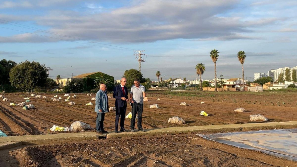 El campo valenciano resiste: sus exportaciones agroalimentarias superan los 6.200 millones y ya mueven más de uno de cada cuatro euros que salen de la Comunitat