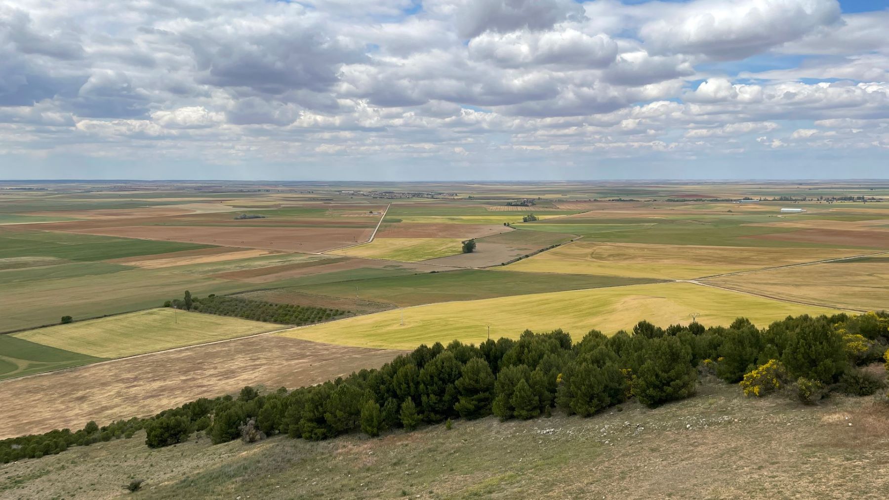 Simbiored impulsa una red de colaboración para combatir el desperdicio alimentario en el campo